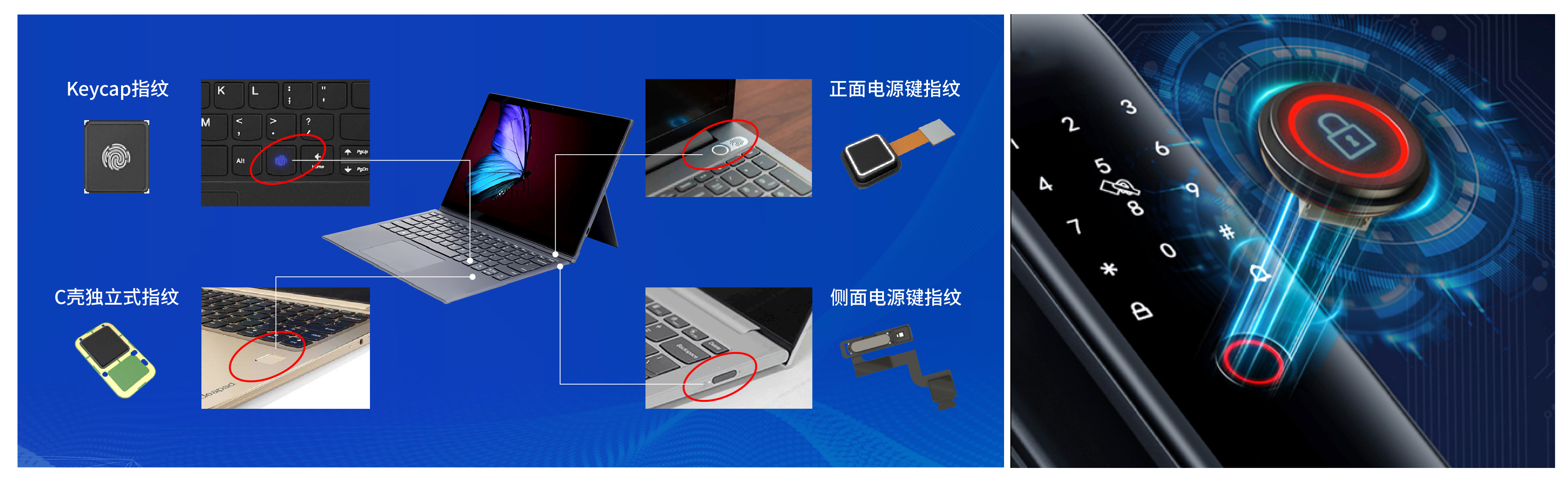 xxpayǮ������