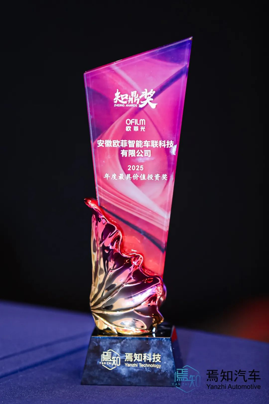 xxpayǮ������